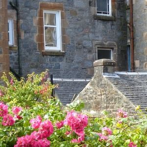 Meet your Posher, Leslie